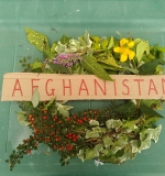 Wreath Afghanistan